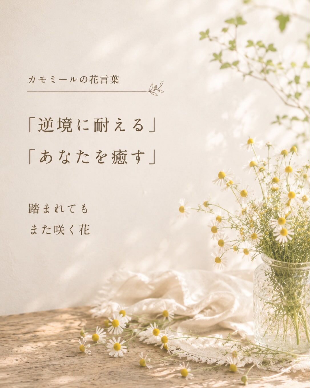 今日の気持ちに寄り添う花