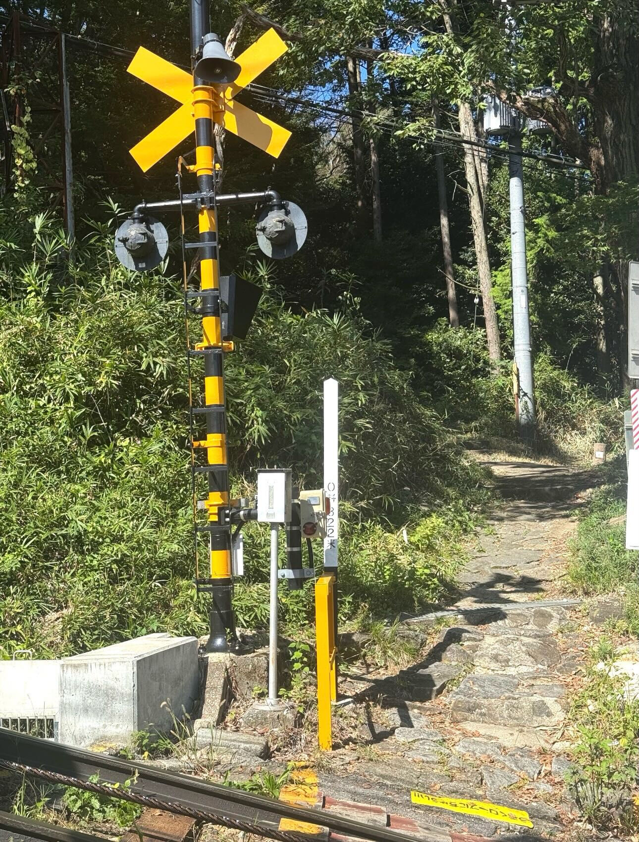 利用者さんが見せてくれた、ジョギングコースの風景です♪