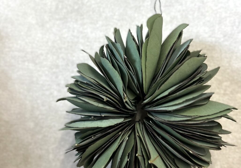 ユーカリの葉を、一枚ずつ重ねて